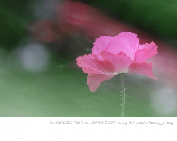 p_large_dH79_040900005f2c2d0c.jpg