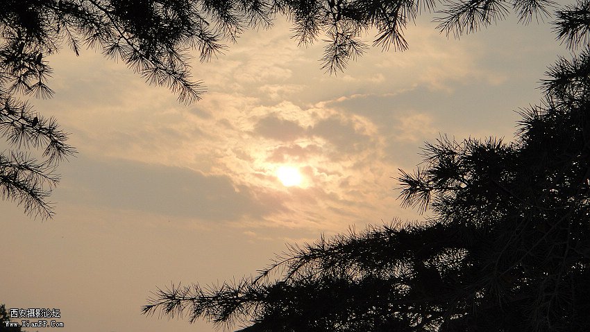 DSC09291.jpg
