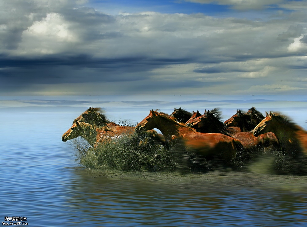 光圈: F/6.3 快门:1/320 焦距:70 毫米