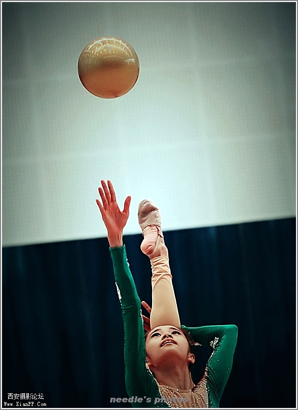 光圈: F/3.5 快门:1/800 焦距:116 毫米 感光度:2000