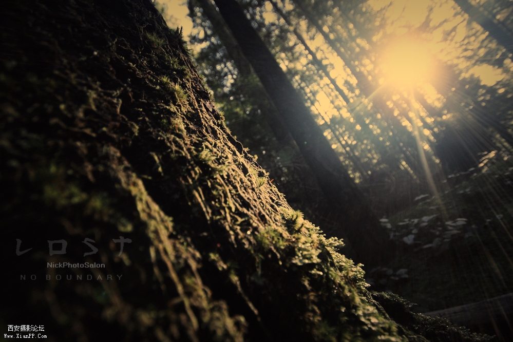 光圈: F/4.5 快门:1/20 焦距:11 毫米 感光度:400