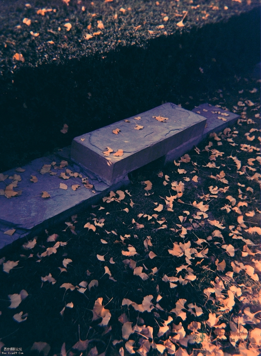 34580004.jpg