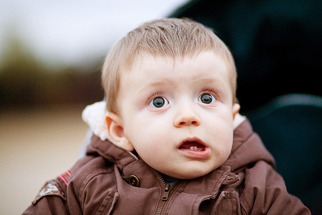 Photo by Anna Dobrokhvalova