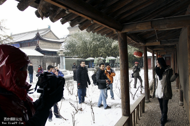 _MG_9764.JPG