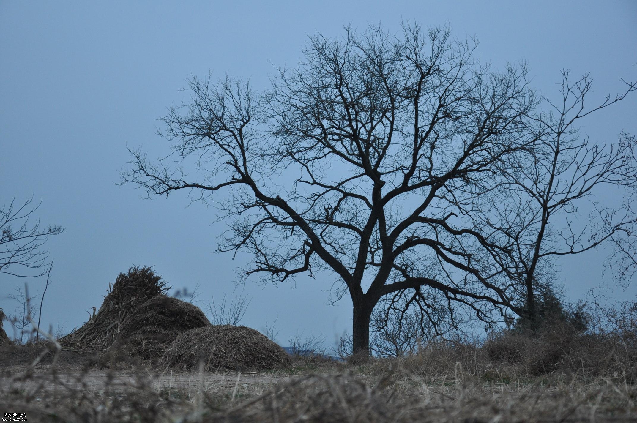 DSC_0014.JPG