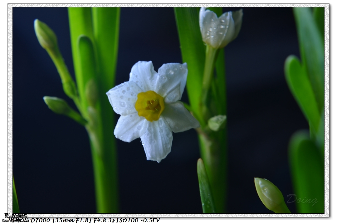 nEO_IMG_DSC_0766.jpg