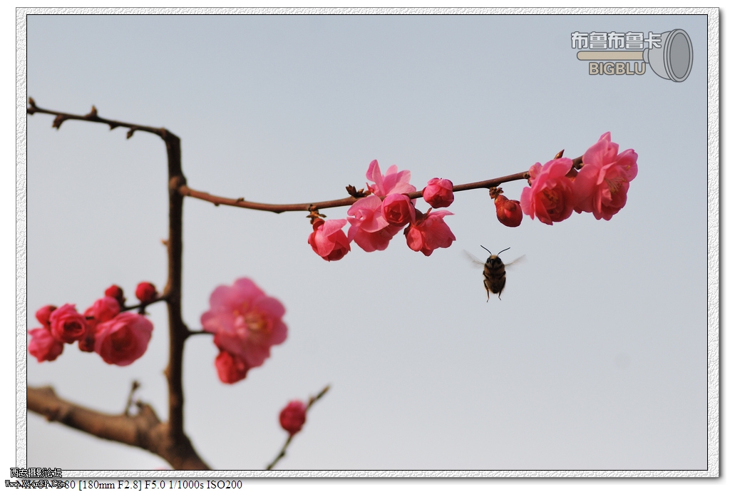 DSC_9580.jpg
