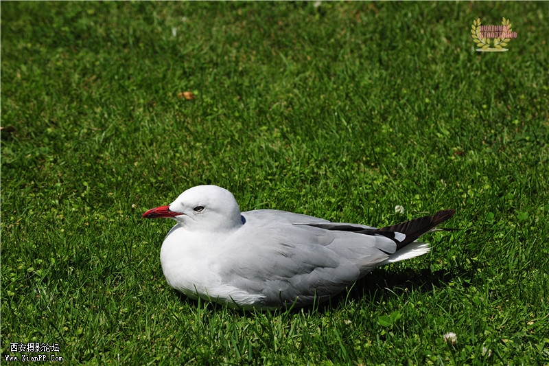 dsc_6834_副本.jpg