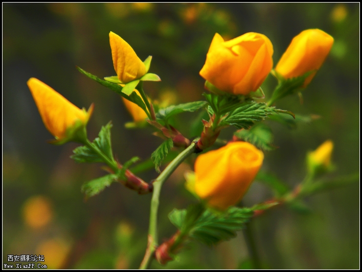 DSCN3118.jpg