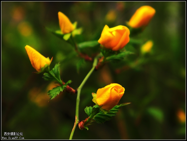 DSCN3116.jpg