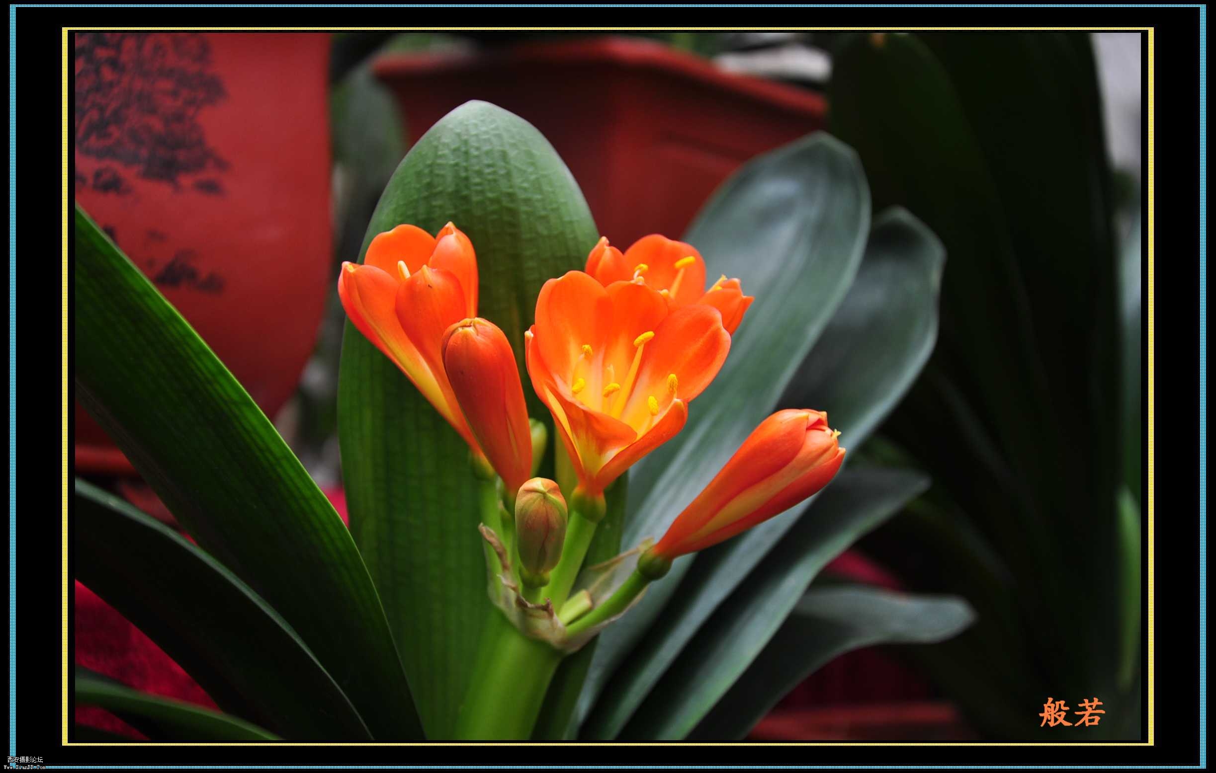 DSC_0016.jpg