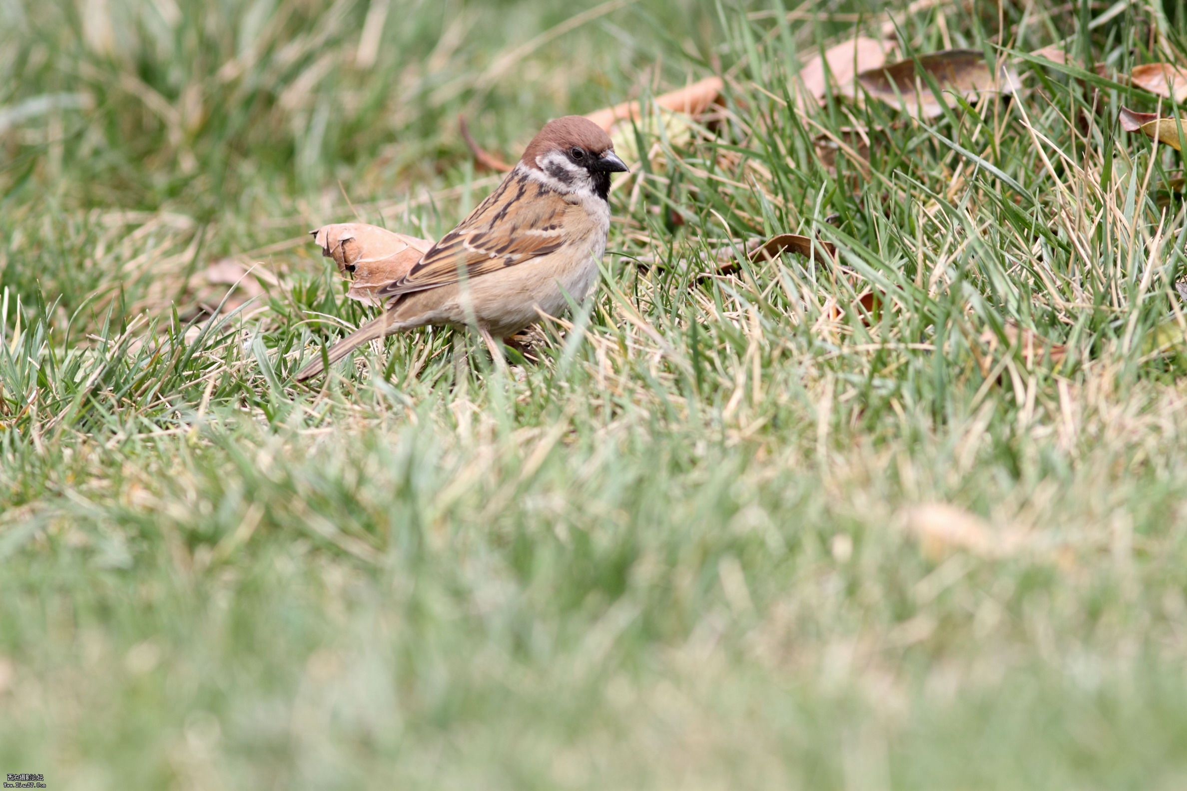 20110407试镜0017.jpg