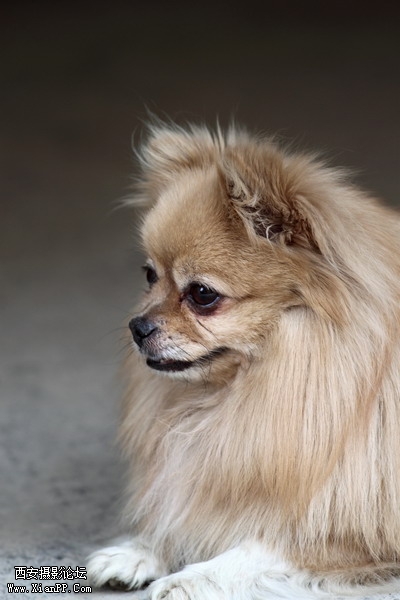 20110407 300mm试镜0013_调整大小.JPG