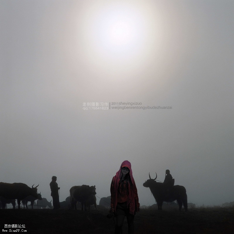 BMA-078副本.JPG