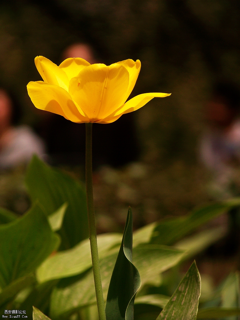 100_2833.jpg