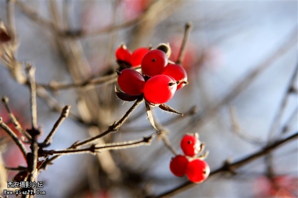 IMG_2851_副本.jpg