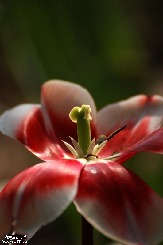 DSC_8180.JPG
