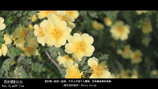 我们要一起笑一起哭，千万人中有个人懂我，你有最珍贵的角落。.jpg