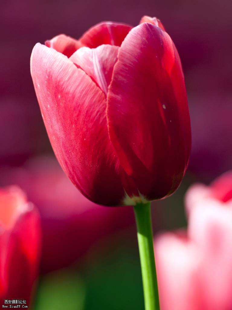 DSC_0001.jpg