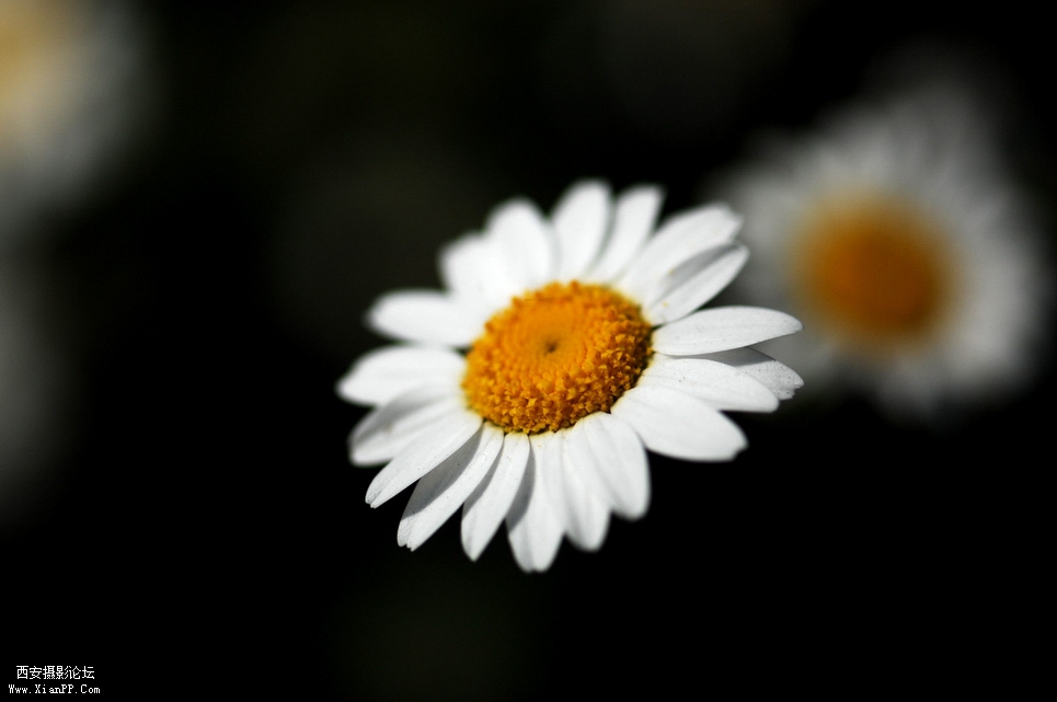 DSC_0093.JPG