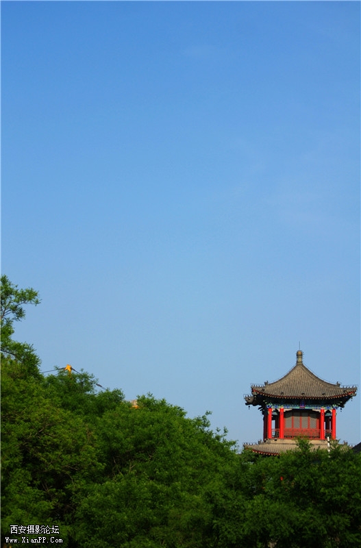 城墙_副本2222.jpg