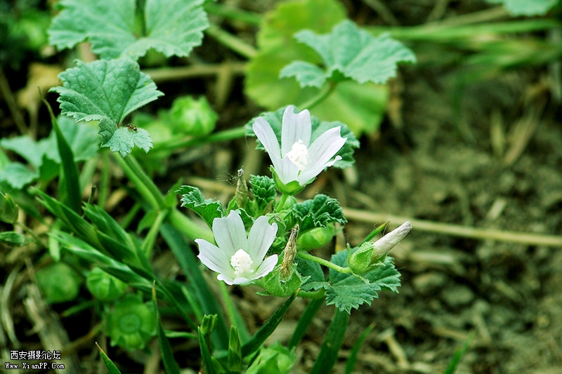 100_5147.jpg
