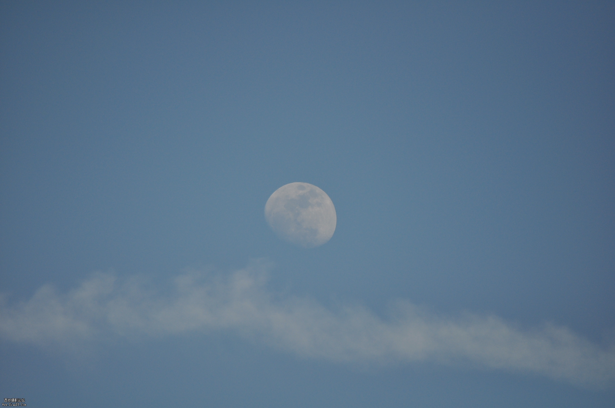 DSC_0007.jpg
