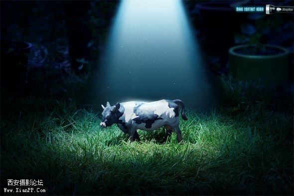 Energizer_Cow.jpg
