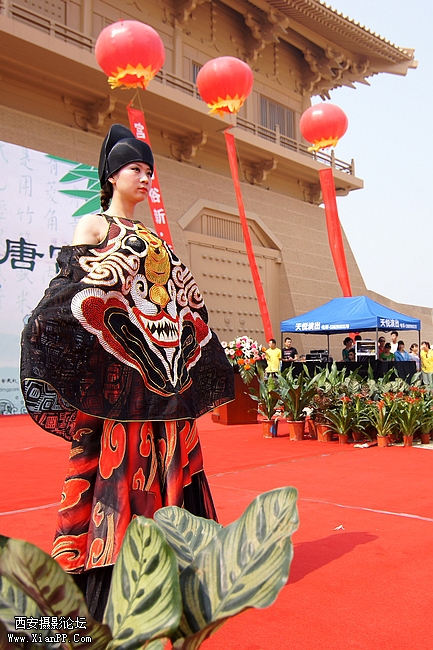 DSC03445-01.jpg