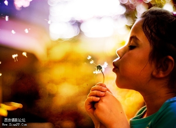 p_large_6IlW_2ba30001ff555c16.jpg