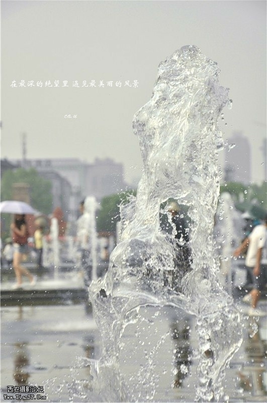 dsc_0587_副本_旋转.jpg