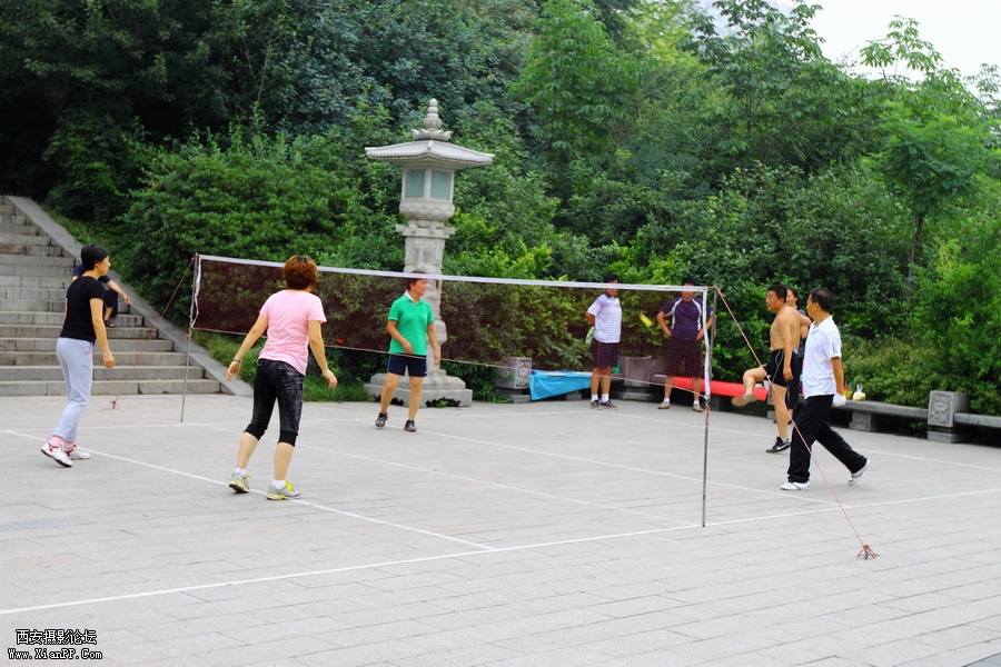 20110622 荷花2551_调整大小.JPG