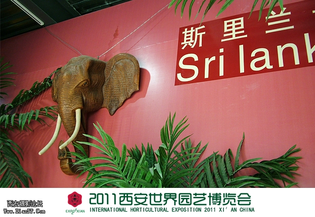 斯里兰卡园1.jpg
