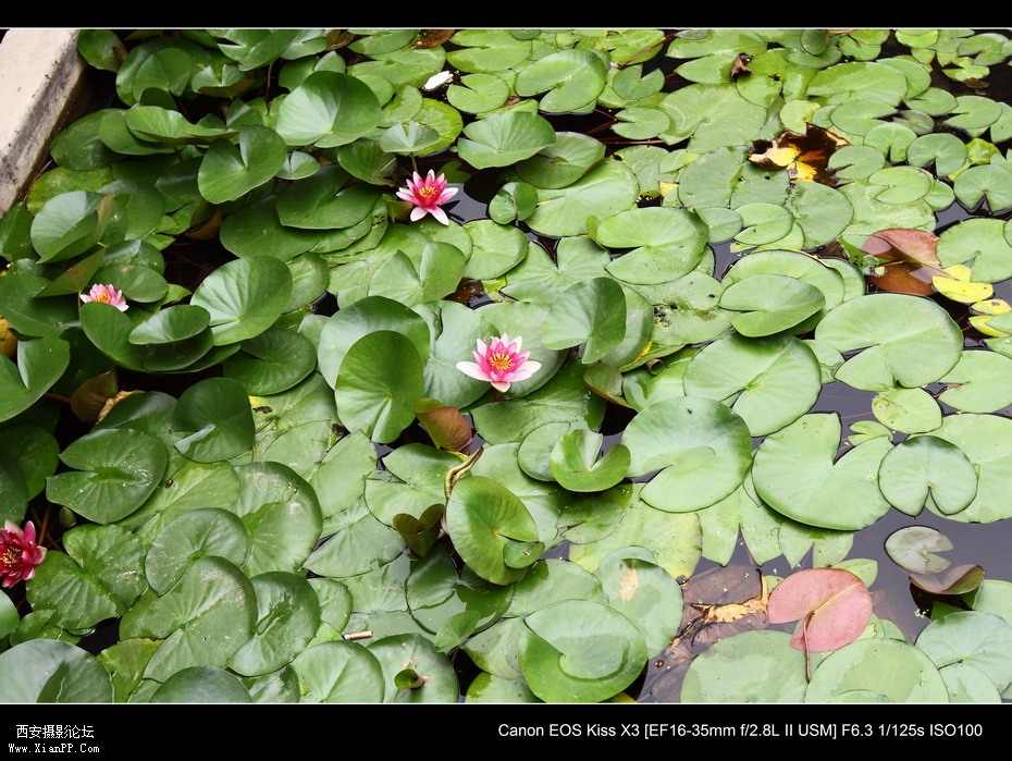 20110626  浐灞码头2625_调整大小.JPG