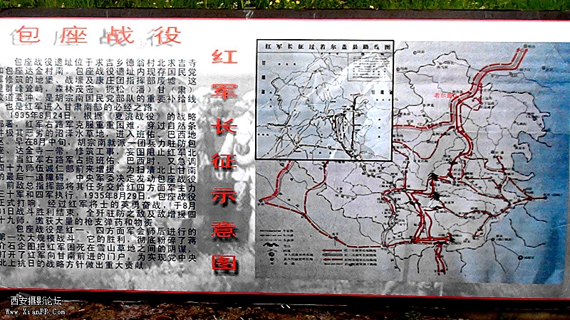 DSC02487_副本.jpg