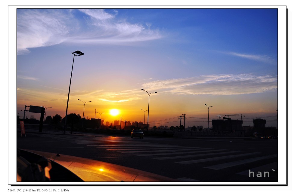 DSC_2333x.jpg