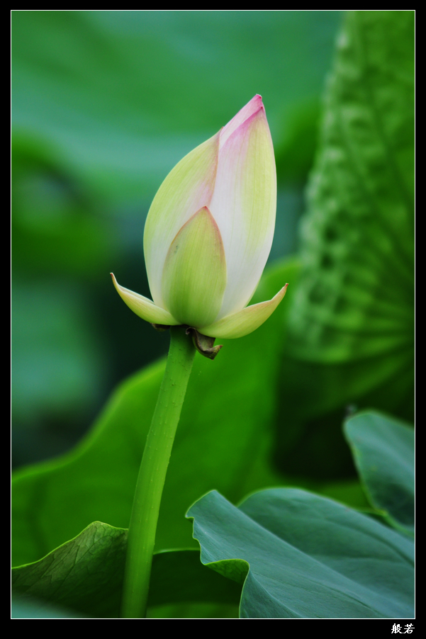 nEO_IMG_照片 064.jpg