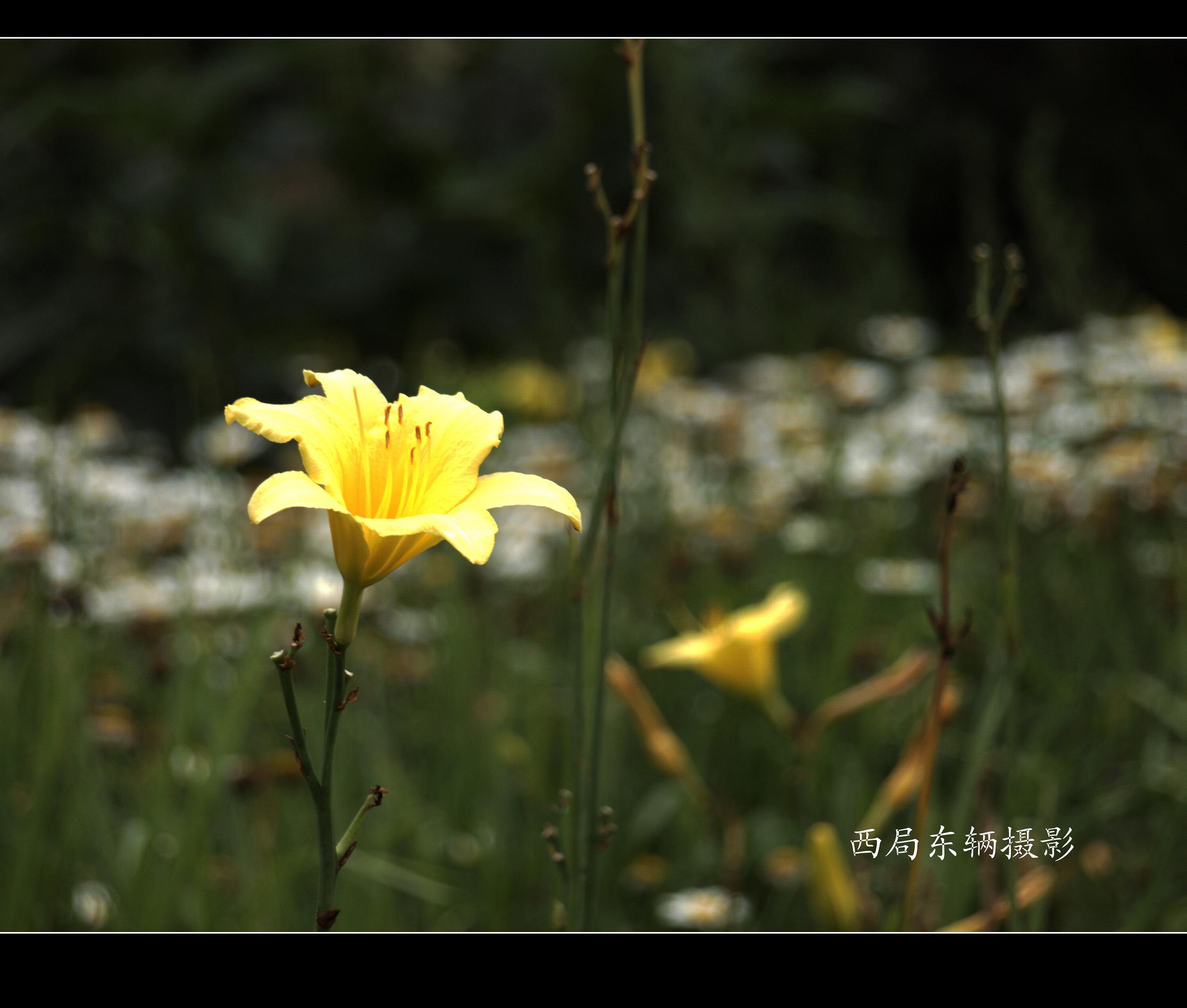 U7116770_副本.jpg