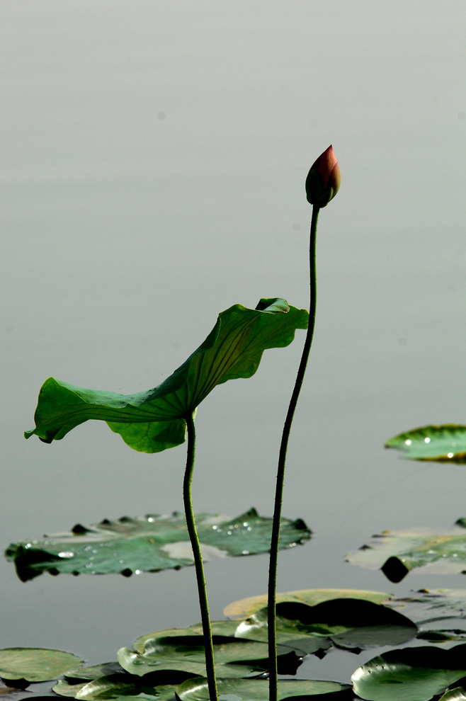 DSC_0056.JPG