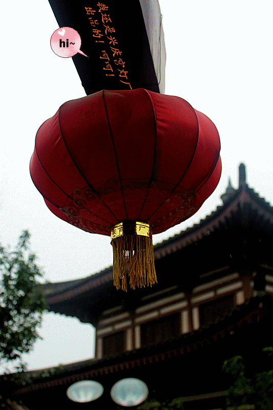 IMG_1444_副本.gif