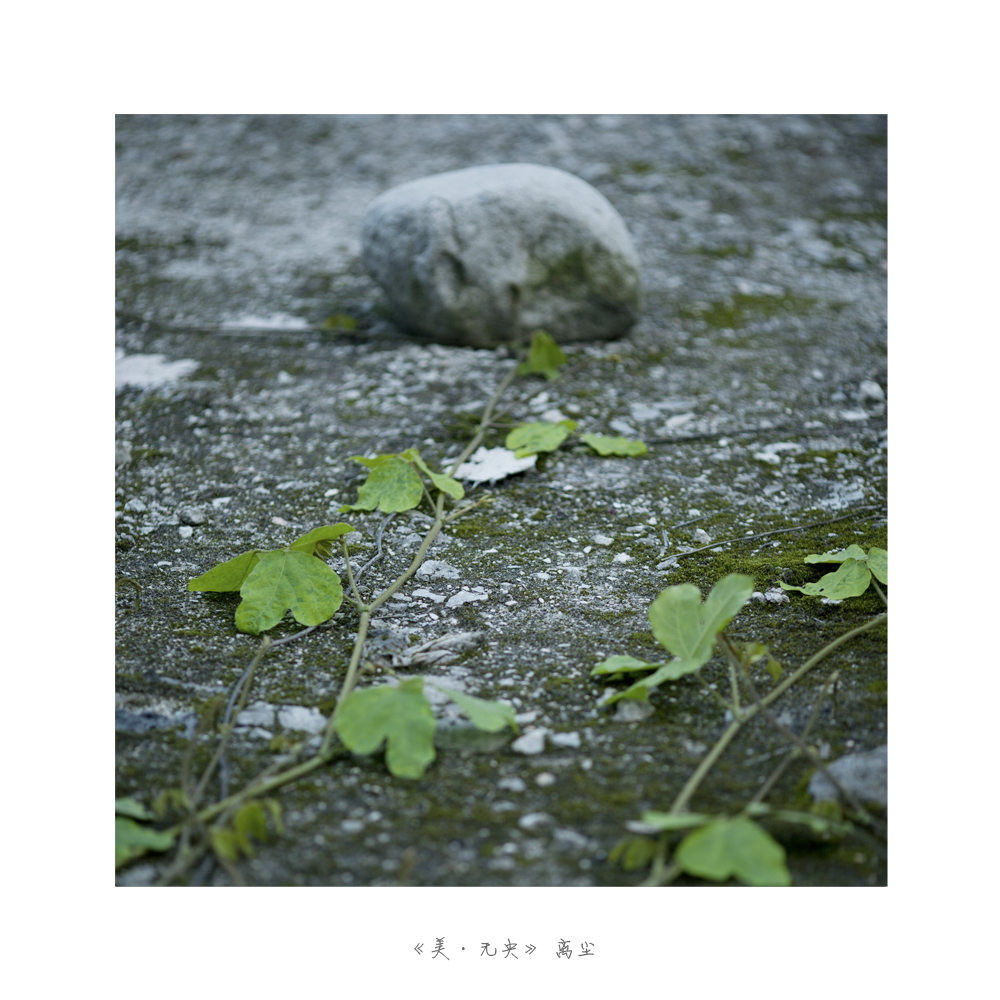 未标题-4.jpg