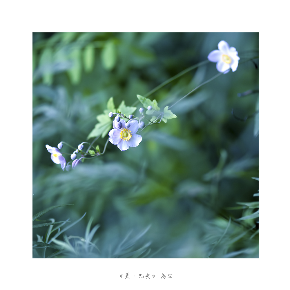 未标题-11.jpg