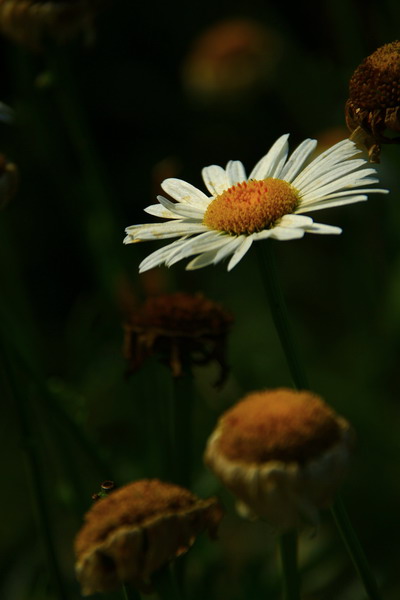 IMG_0019_调整大小.jpg