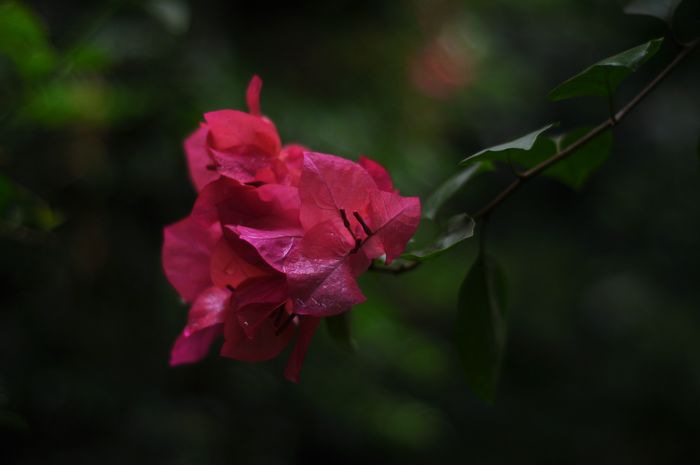 DSC_031015.jpg