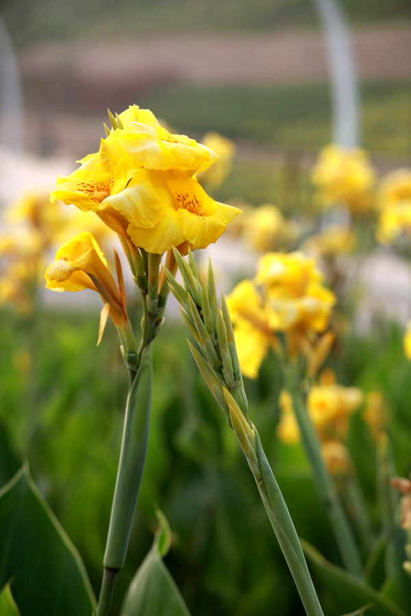 IMG_1050_调整大小.jpg