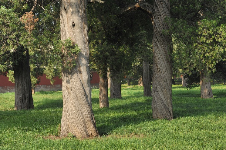 DSC_2719.JPG