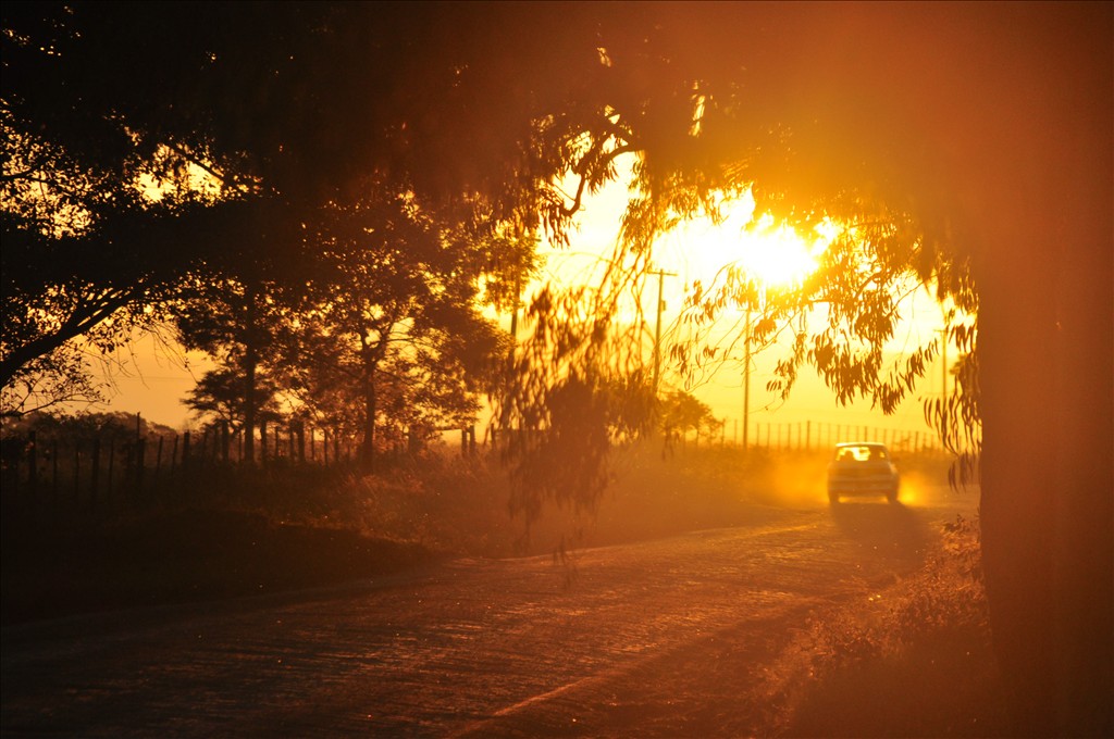 DSC_0306.JPG