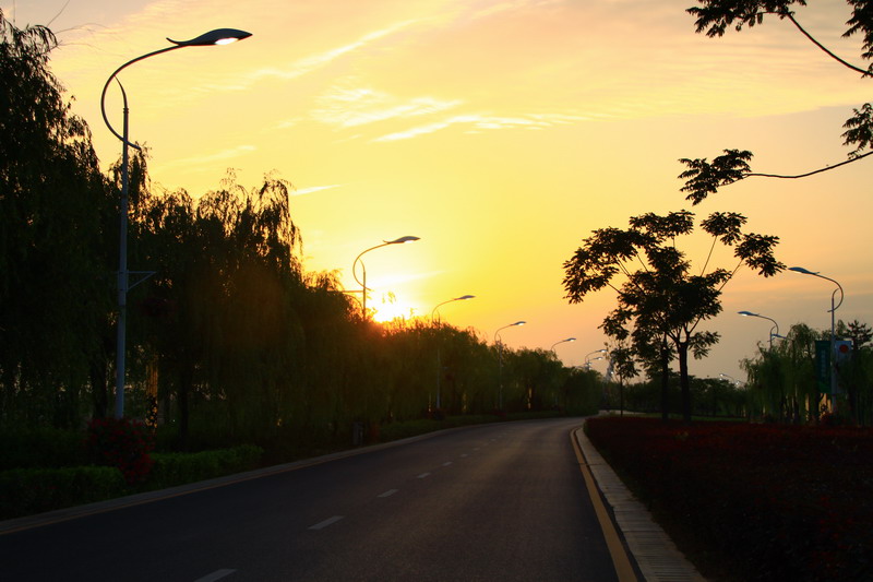 IMG_0020_调整大小.JPG