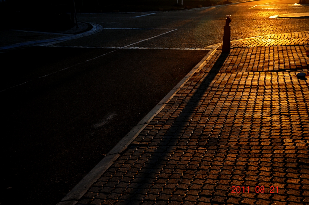 DSC_0552.JPG