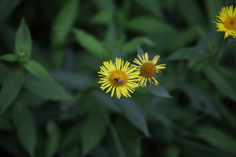 201109163092_调整大小.JPG